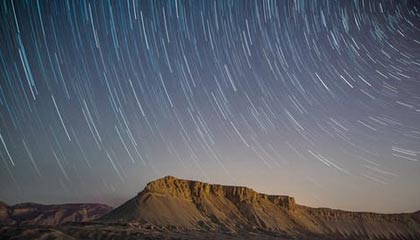 模特在以下活动最受欢迎